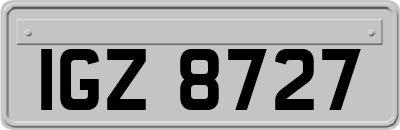 IGZ8727