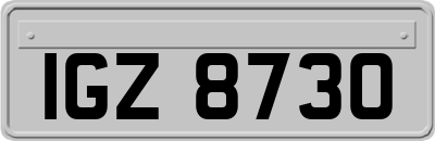 IGZ8730