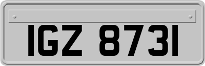 IGZ8731