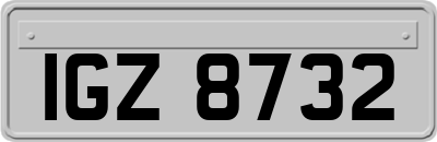 IGZ8732