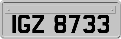 IGZ8733