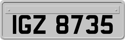 IGZ8735