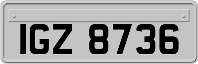 IGZ8736