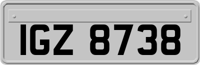 IGZ8738