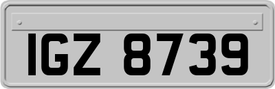IGZ8739