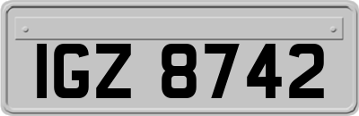 IGZ8742