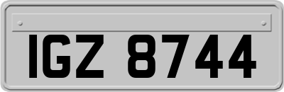 IGZ8744