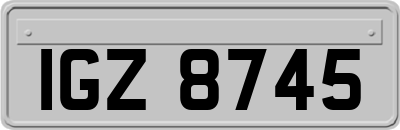 IGZ8745