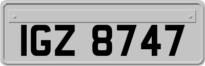 IGZ8747