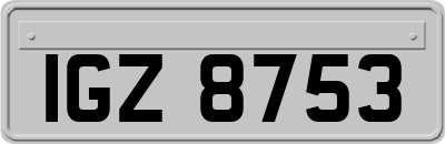 IGZ8753
