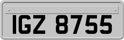 IGZ8755
