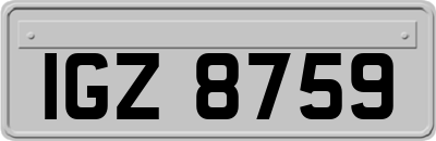 IGZ8759