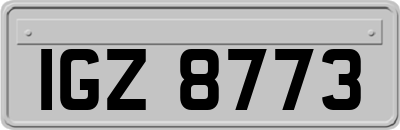 IGZ8773