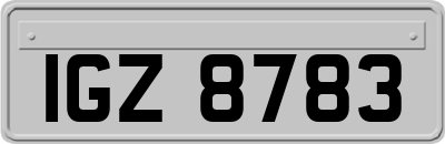 IGZ8783