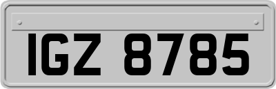 IGZ8785