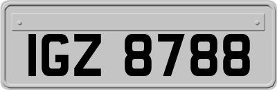 IGZ8788