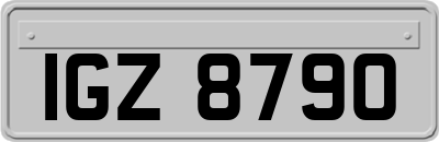 IGZ8790