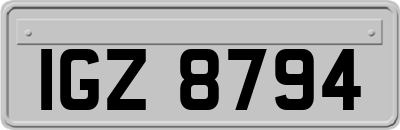 IGZ8794