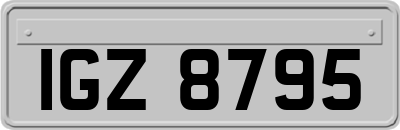 IGZ8795