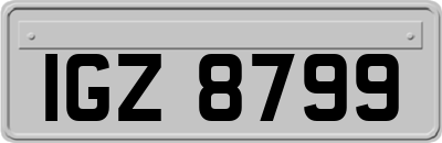 IGZ8799