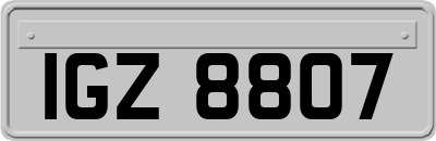 IGZ8807