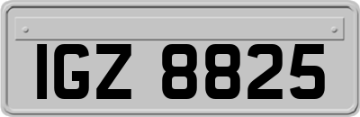 IGZ8825