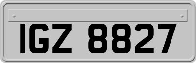 IGZ8827