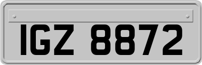 IGZ8872