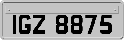 IGZ8875