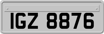 IGZ8876