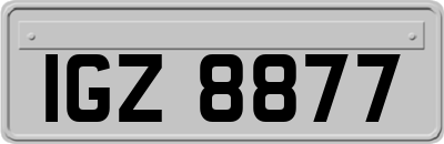IGZ8877
