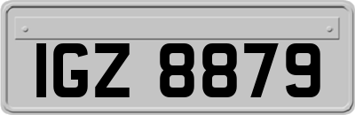 IGZ8879