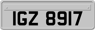 IGZ8917