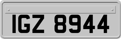 IGZ8944