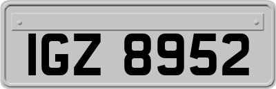 IGZ8952