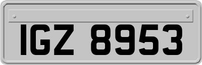 IGZ8953