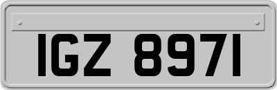 IGZ8971