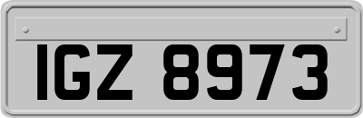 IGZ8973