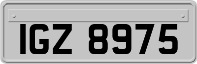 IGZ8975