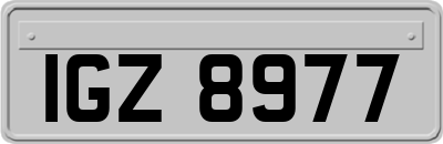 IGZ8977