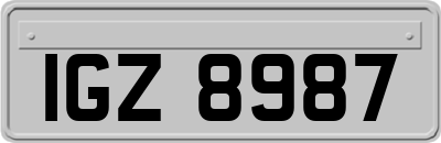 IGZ8987