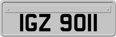 IGZ9011