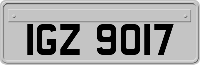 IGZ9017