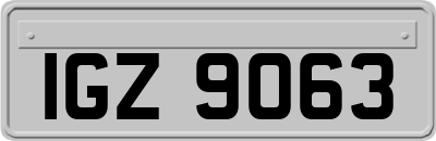IGZ9063