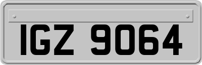 IGZ9064