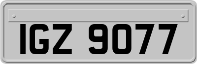 IGZ9077