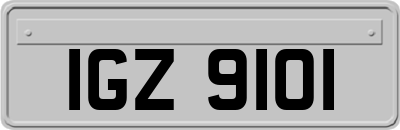 IGZ9101