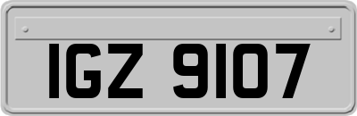 IGZ9107