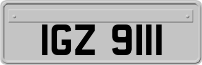 IGZ9111