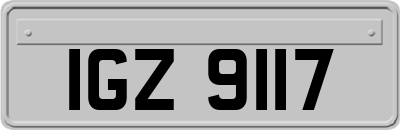 IGZ9117